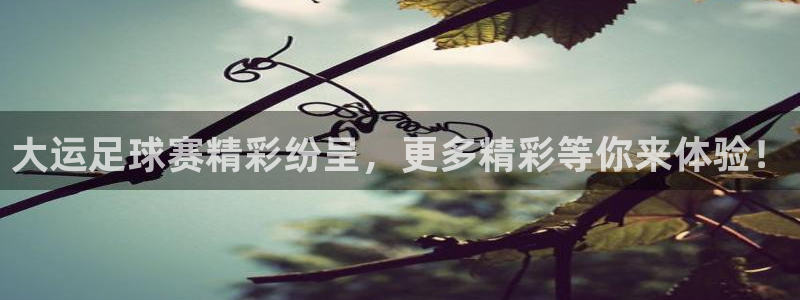 大运足球赛精彩纷呈，更多精彩等你来体验！