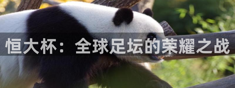  恒大杯：全球足坛的荣耀之战