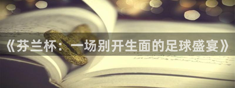  《芬兰杯：一场别开生面的足球盛宴》