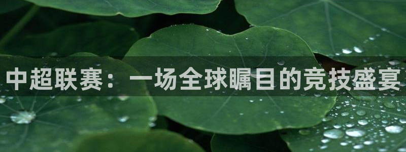 中超联赛：一场全球瞩目的竞技盛宴