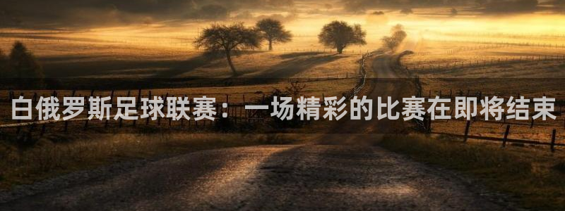  白俄罗斯足球联赛：一场精彩的比赛在即将结束