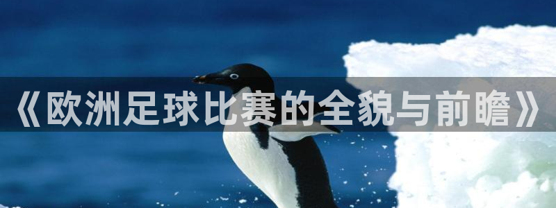 《欧洲足球比赛的全貌与前瞻》
