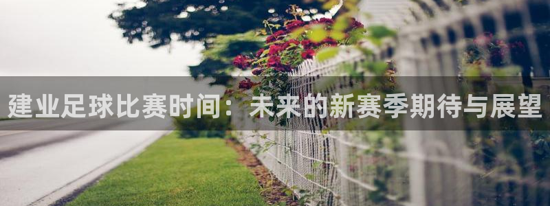 建业足球比赛时间：未来的新赛季期待与展望