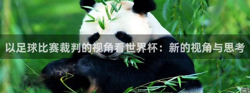 以足球比赛裁判的视角看世界杯：新的视角与思考