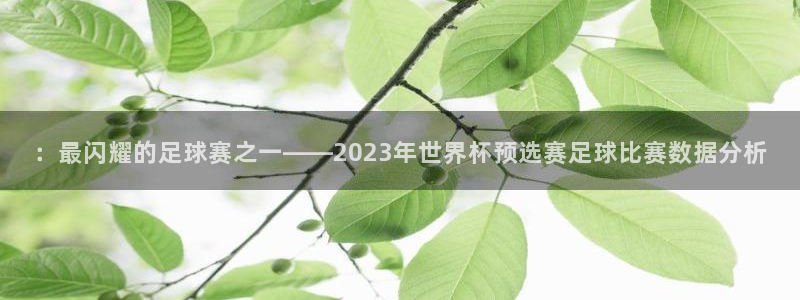  ：最闪耀的足球赛之一——2023年世界杯预选赛足球比赛数据分