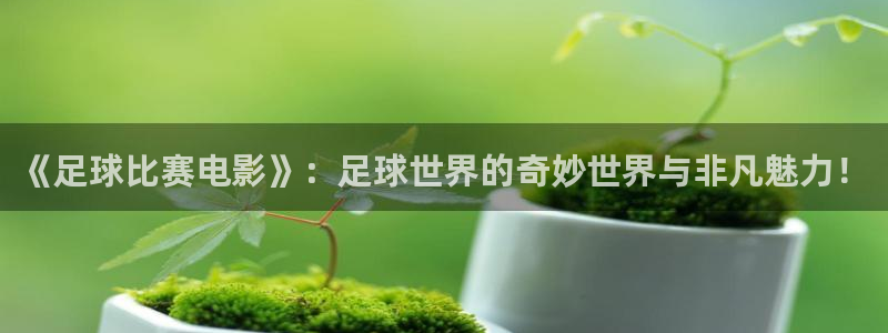  《足球比赛电影》：足球世界的奇妙世界与非凡魅力！