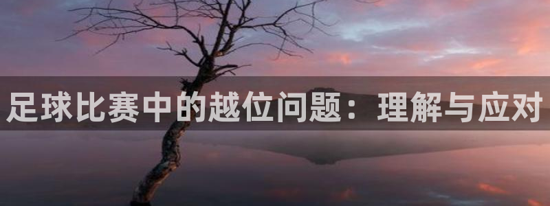 足球比赛中的越位问题：理解与应对