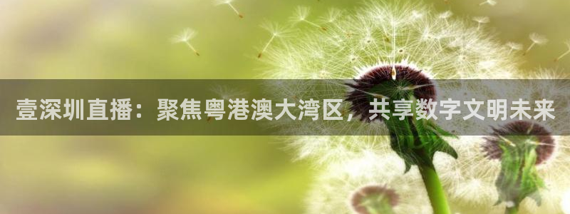 833直播体育免费观看：壹深圳直播：聚焦粤港澳大湾区，共享数字文明未来