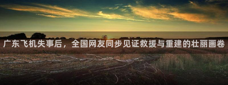 833比赛直播观看：广东飞机失事后，全国网友同步见证救援与重建的壮丽画卷