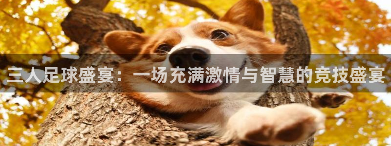 三人足球盛宴：一场充满激情与智慧的竞