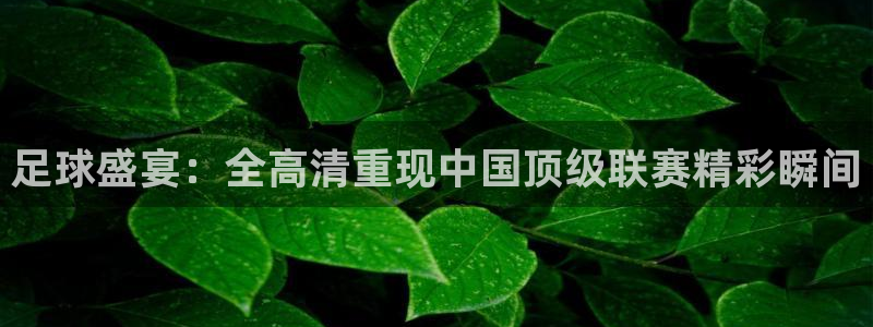 足球盛宴：全高清重现中国顶级联赛精彩