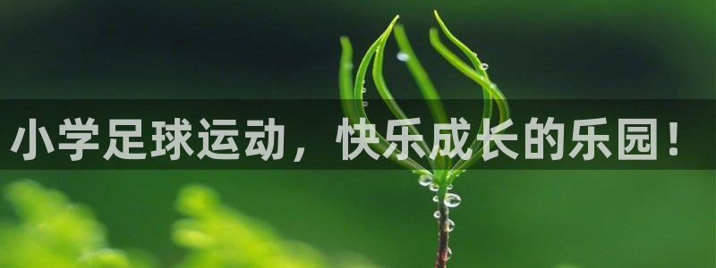 小学足球运动，快乐成长的乐园！
