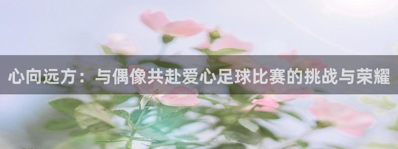 心向远方：与偶像共赴爱心足球比赛的挑