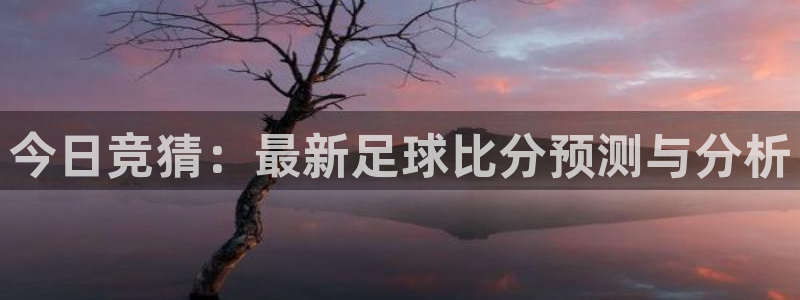 今日竞猜：最新足球比分预测与分析