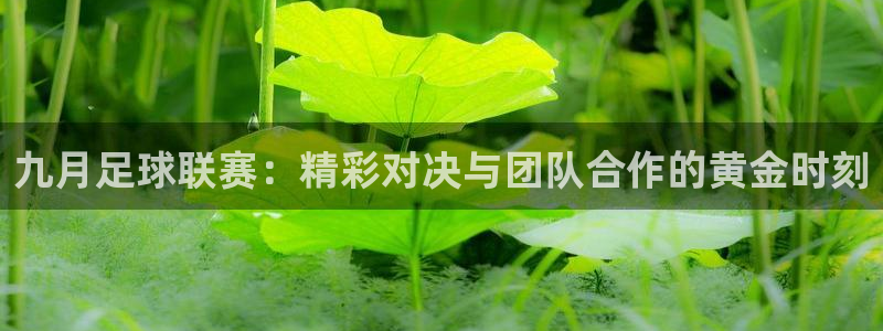 九月足球联赛：精彩对决与团队合作的黄金时刻