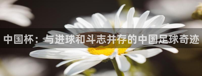 中国杯：与进球和斗志并存的中国足球奇