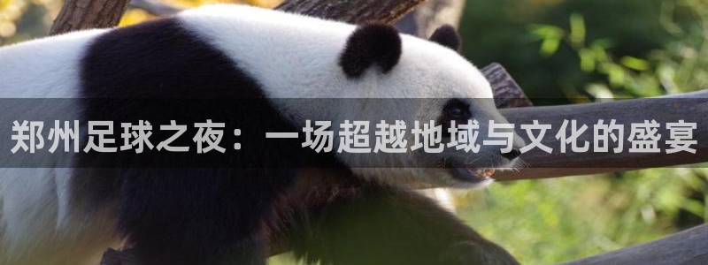郑州足球之夜：一场超越地域与文化的盛