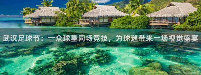 武汉足球节：一众球星同场竞技，为球迷