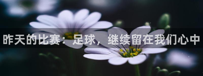 昨天的比赛：足球，继续留在我们心中