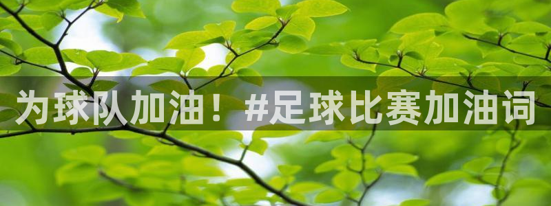 为球队加油！#足球比赛加油词