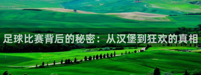 足球比赛背后的秘密：从汉堡到狂欢的真相