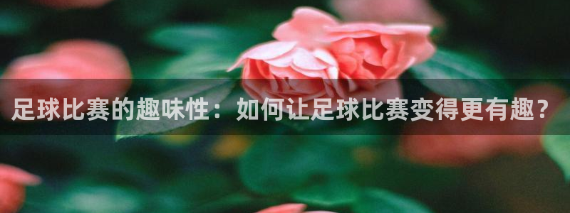 足球比赛的趣味性：如何让足球比赛变得