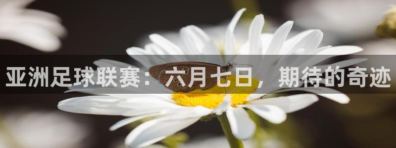 亚洲足球联赛：六月七日，期待的奇迹