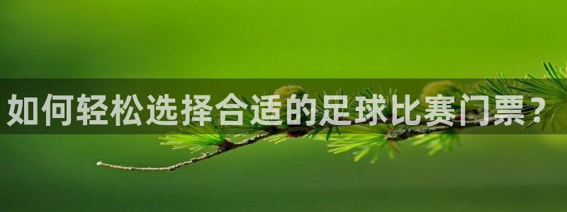 如何轻松选择合适的足球比赛门票？