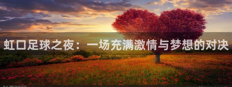 虹口足球之夜：一场充满激情与梦想的对