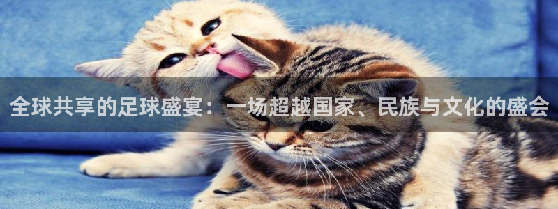 全球共享的足球盛宴：一场超越国家、民