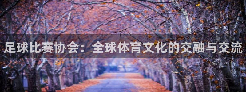 足球比赛协会：全球体育文化的交融与交