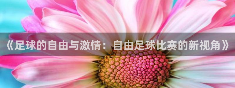 《足球的自由与激情：自由足球比赛的新视角》