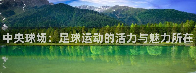 中央球场：足球运动的活力与魅力所在