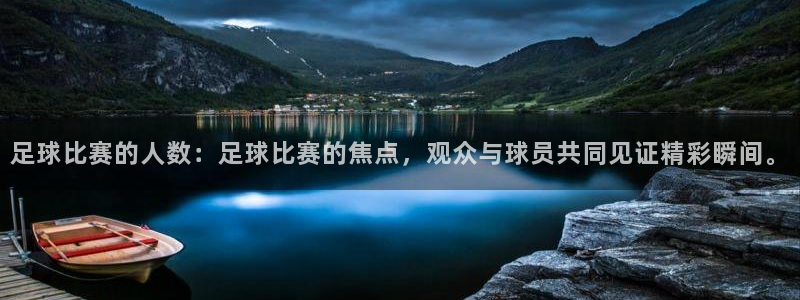 足球比赛的人数：足球比赛的焦点，观众