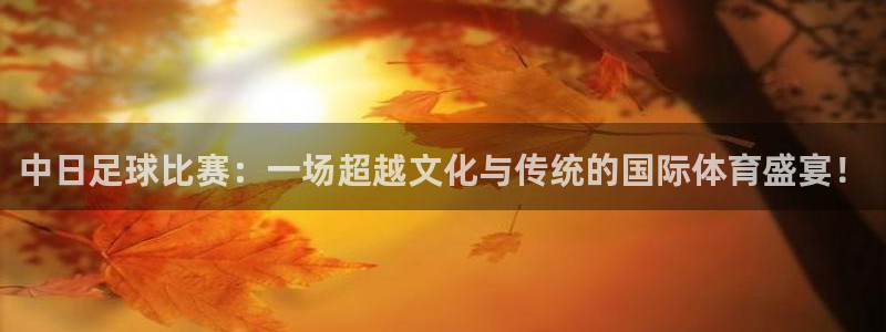 中日足球比赛：一场超越文化与传统的国际体育盛宴！