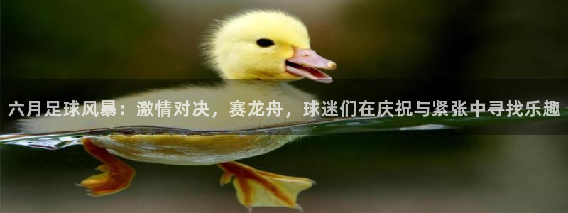 六月足球风暴：激情对决，赛龙舟，球迷