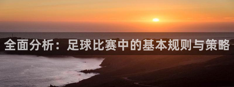 全面分析：足球比赛中的基本规则与策略