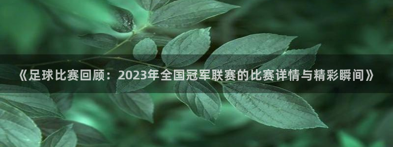 《足球比赛回顾：2023年全国冠军联赛的比赛详情与精彩瞬间》