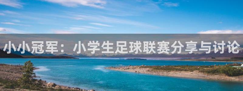  小小冠军：小学生足球联赛分享与讨论