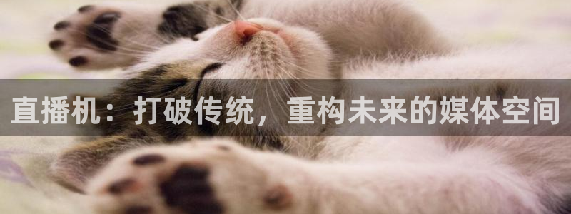 833足球比赛直播免费观看：直播机：打破传统，重构未来的媒体空间